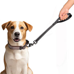 CHMETE short leash with reflective stitching for safer dawn or dusk walks.