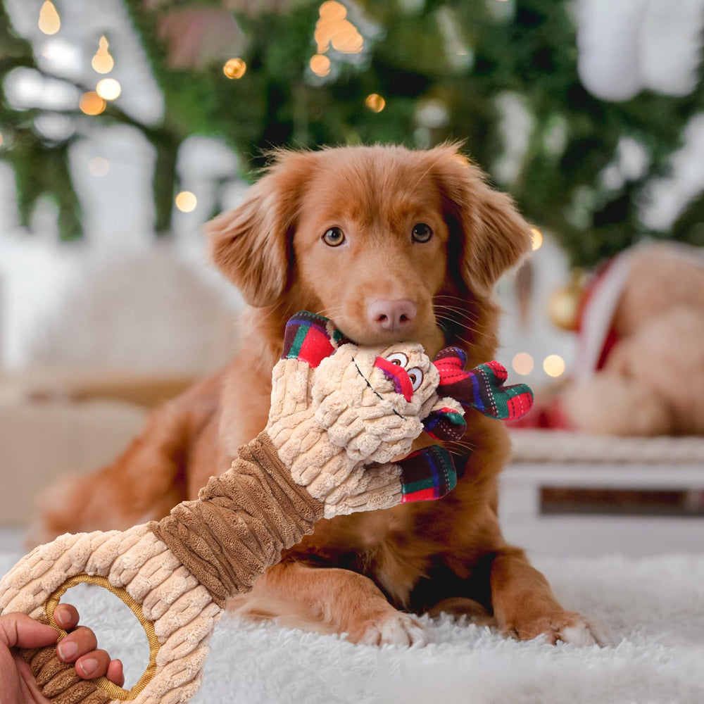 Chngeary Christmas elk toy squeaky and crinkle design attracts dogs during chew.