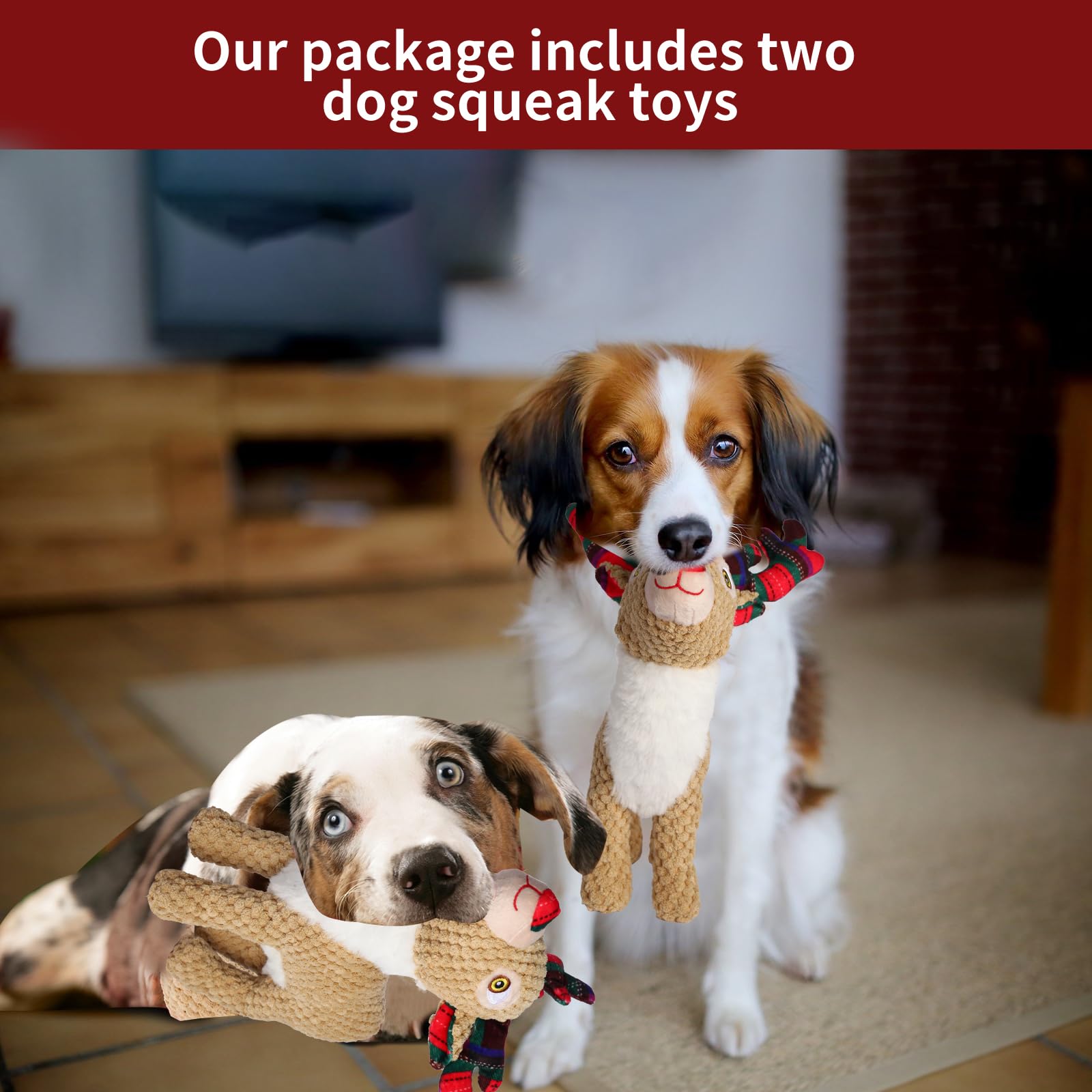 Chngeary Christmas gift-ready dog toy for indoor and outdoor fun.