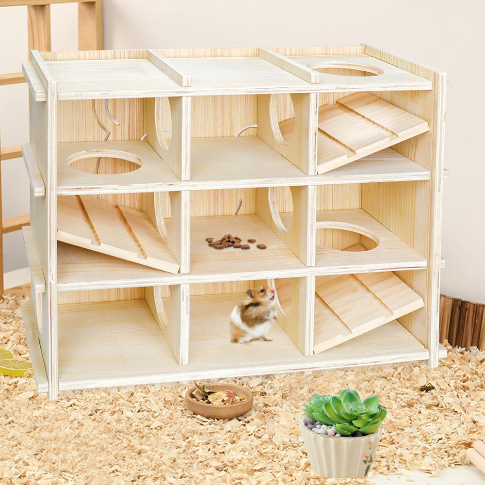 Chngeary hamster per-room food placement illustrating enrichment