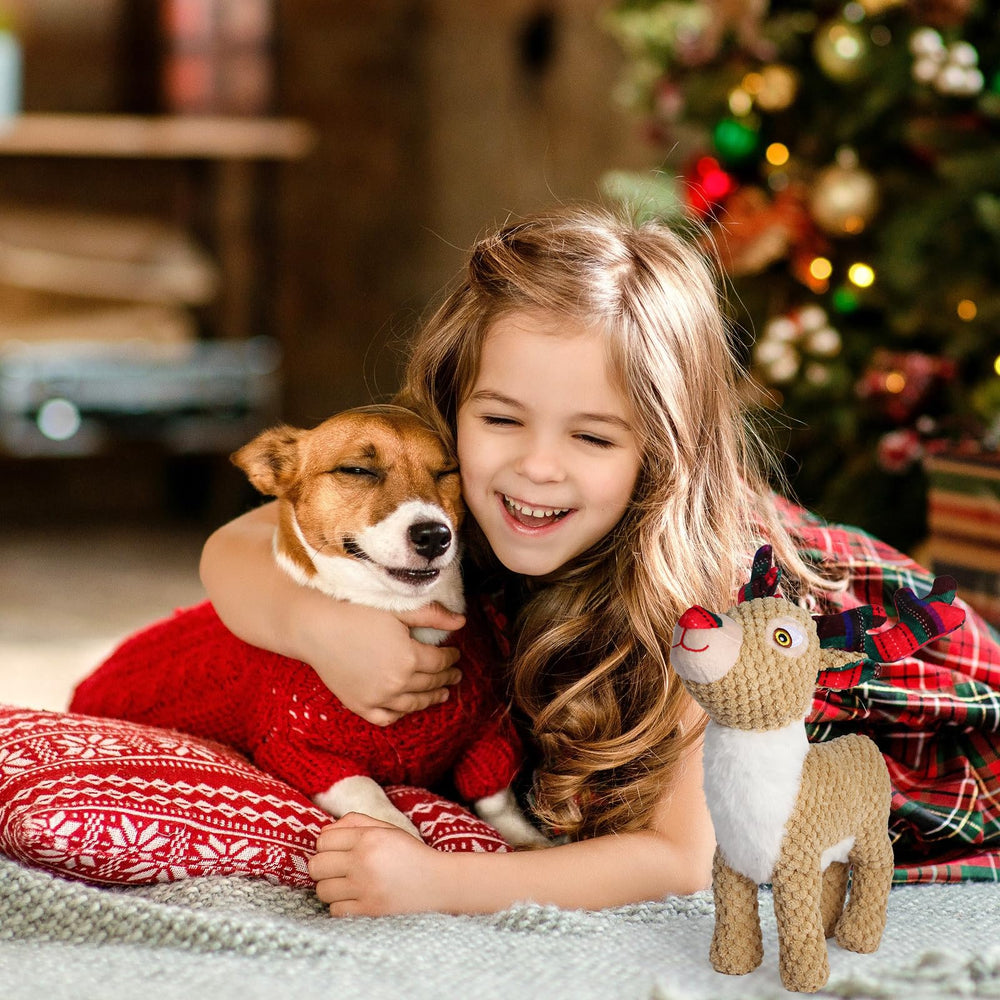 Chngeary indoor-outdoor dog toy demonstrates versatile interactive play.