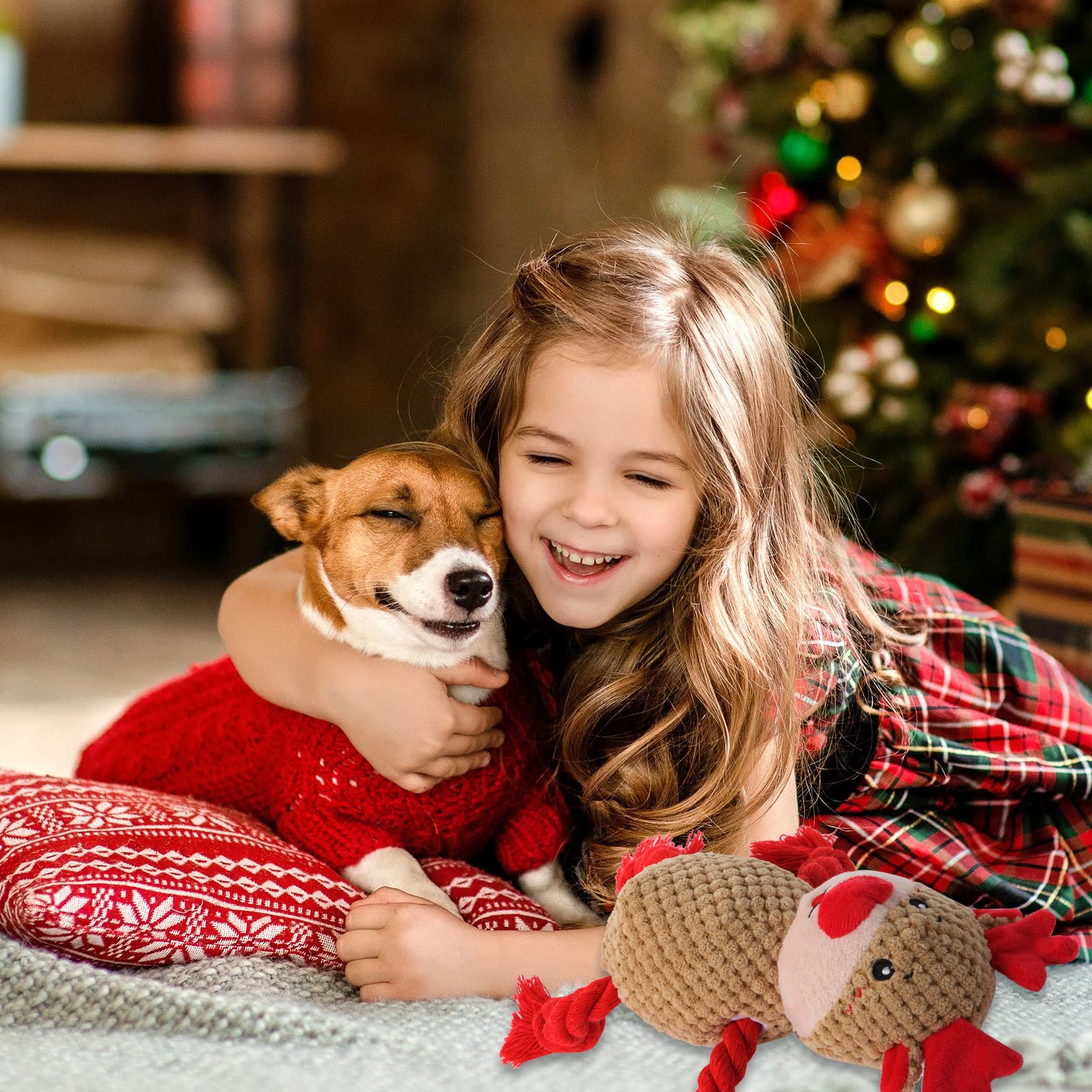 Chngeary interactive dog toy setup for daily fun and bonding