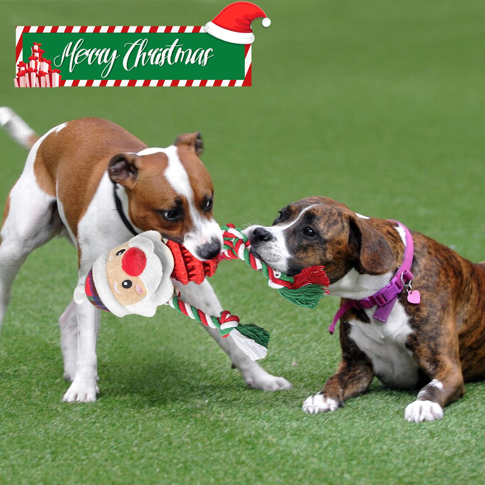 Chngeary multi-function Christmas dog toy, combines squeak, plush, and chew.