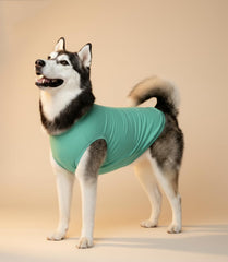 Chol&Vivi soft cotton fabric close-up highlighting breathable comfort for dogs
