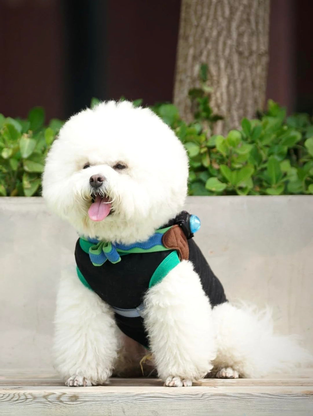 Chol&Vivi dog clothes soft cotton T-shirt side view, lightweight feel for playful outings.