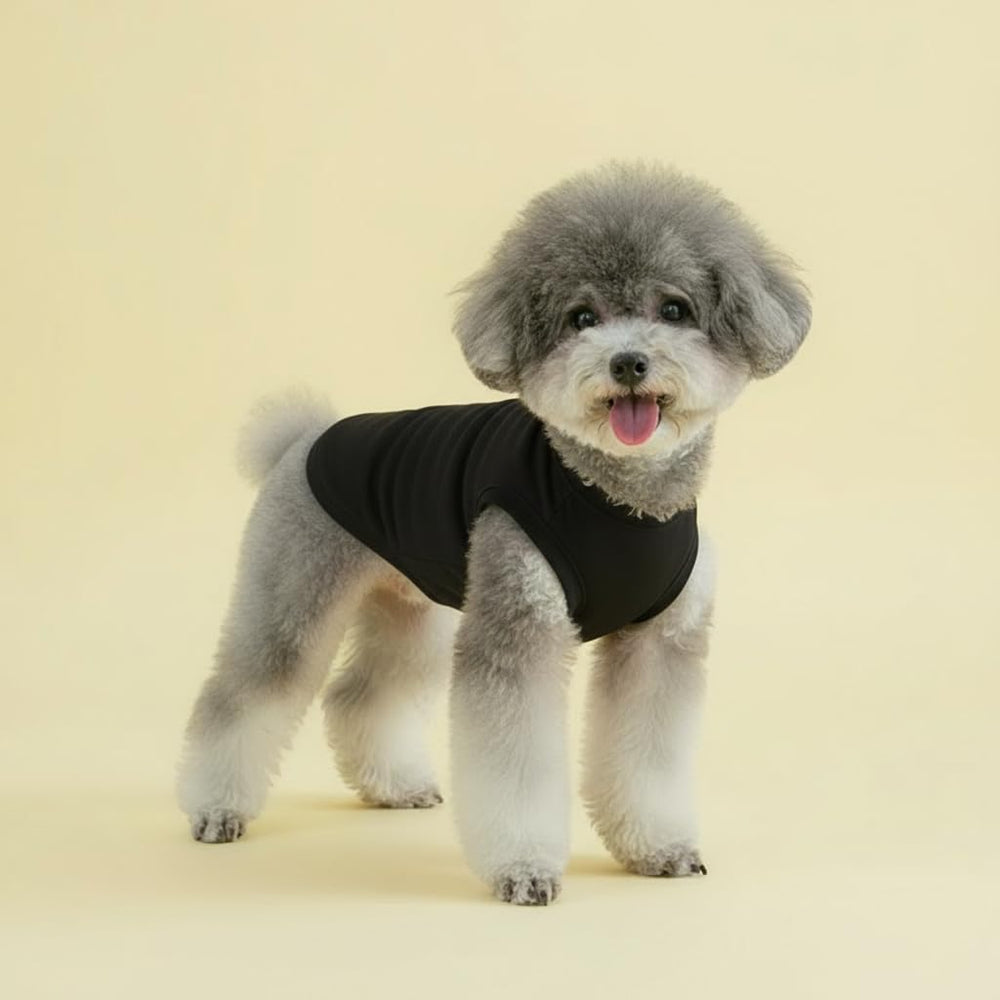 Chol&Vivi t-shirts on small dog model demonstrate breathable, comfortable fit