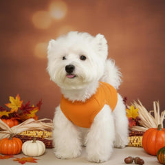 Cholvivi plain dog shirt orange close-up fabric shows soft cotton texture.