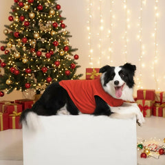 Cholvivi plain dog shirt orange side profile highlights lightweight fabric ideal for active dogs.