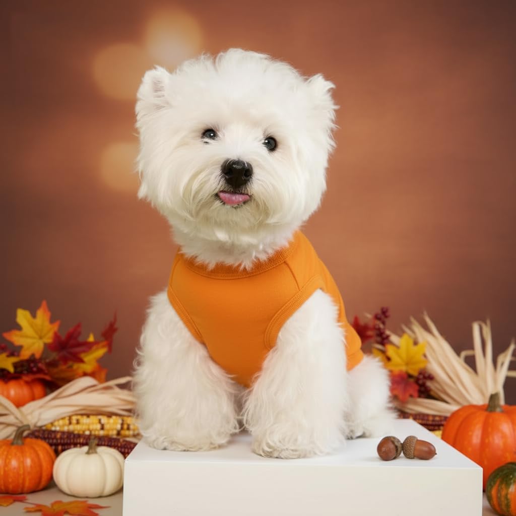 Cholvivi plain dog shirt tank-top flatlay displays bundle-friendly 2-piece set.