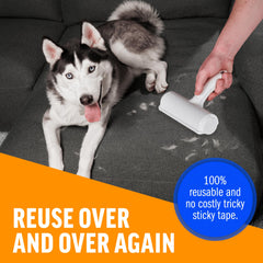 ChomChom Roller car-interior-removal shows compact tool for on-the-go pet hair.