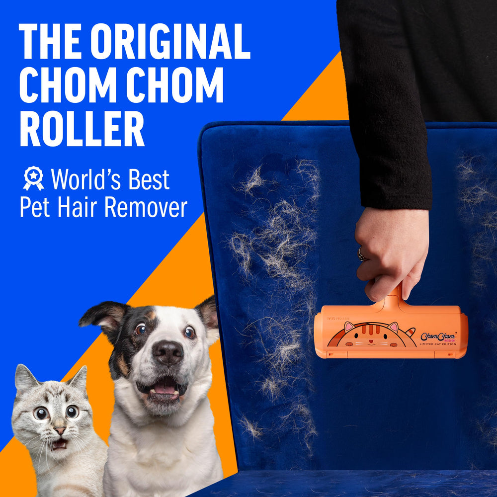 ChomChom Roller removing cat-dog hair on couch for quick pet hair removal.
