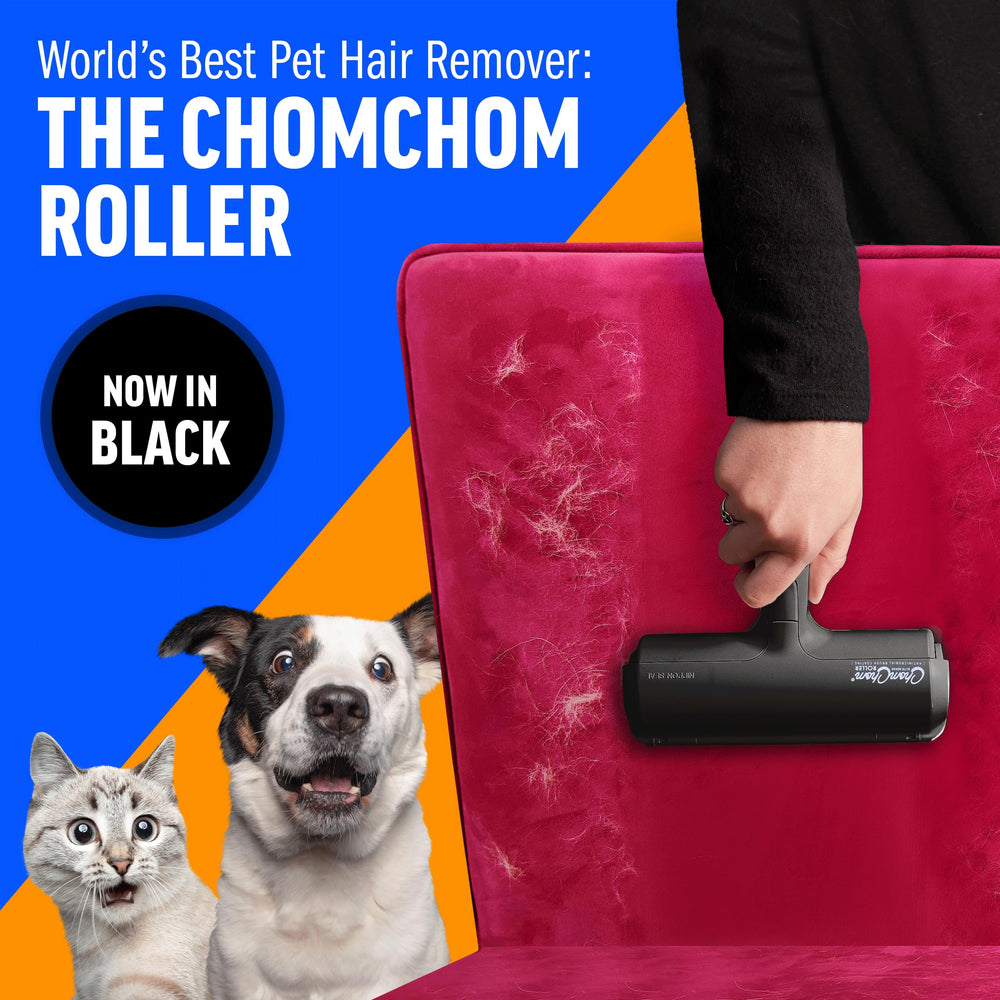 ChomChom Roller front view on couch illustrating quick fur cleanup