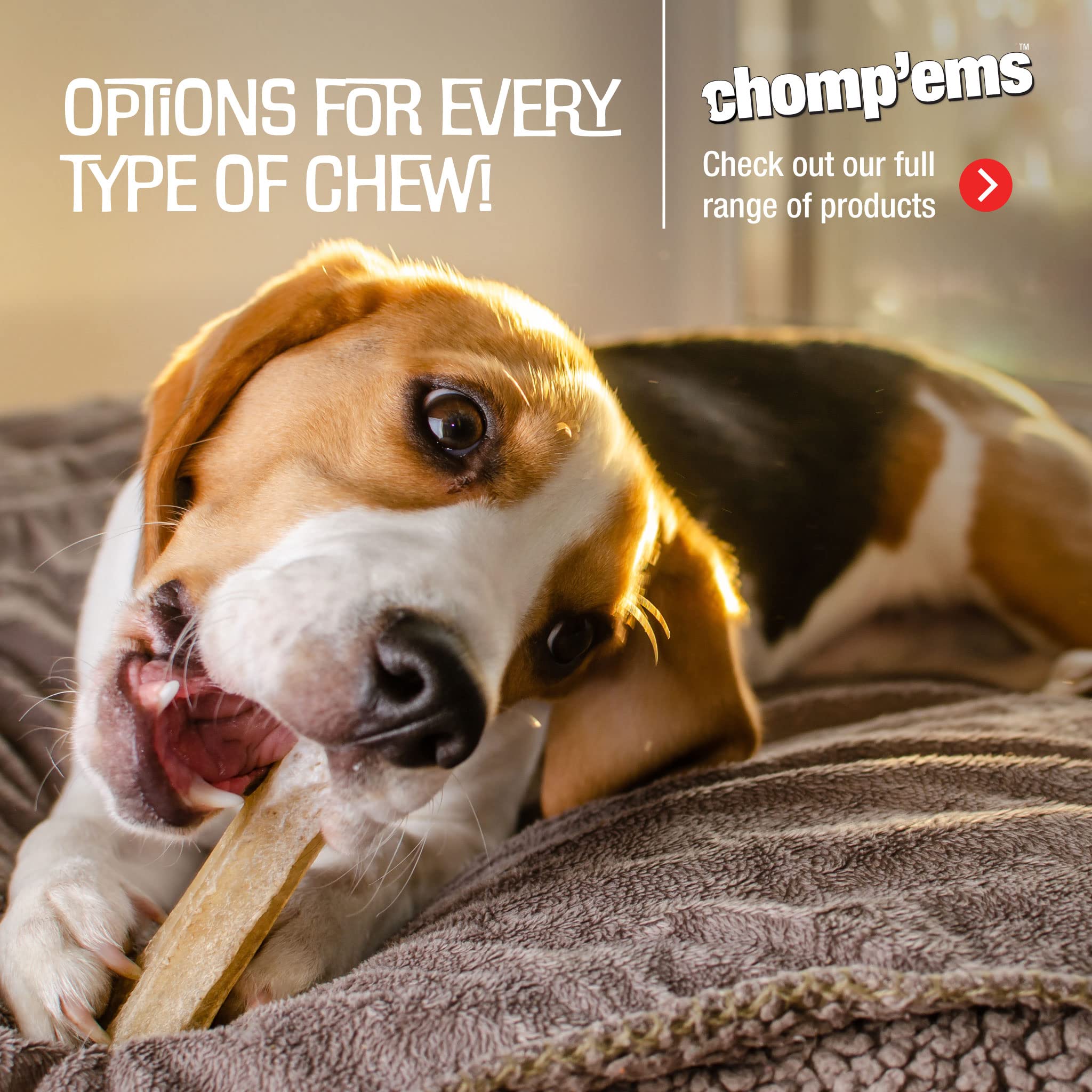 CHOMP 'EMS 8-oz packaging shown for convenient at-home snacking