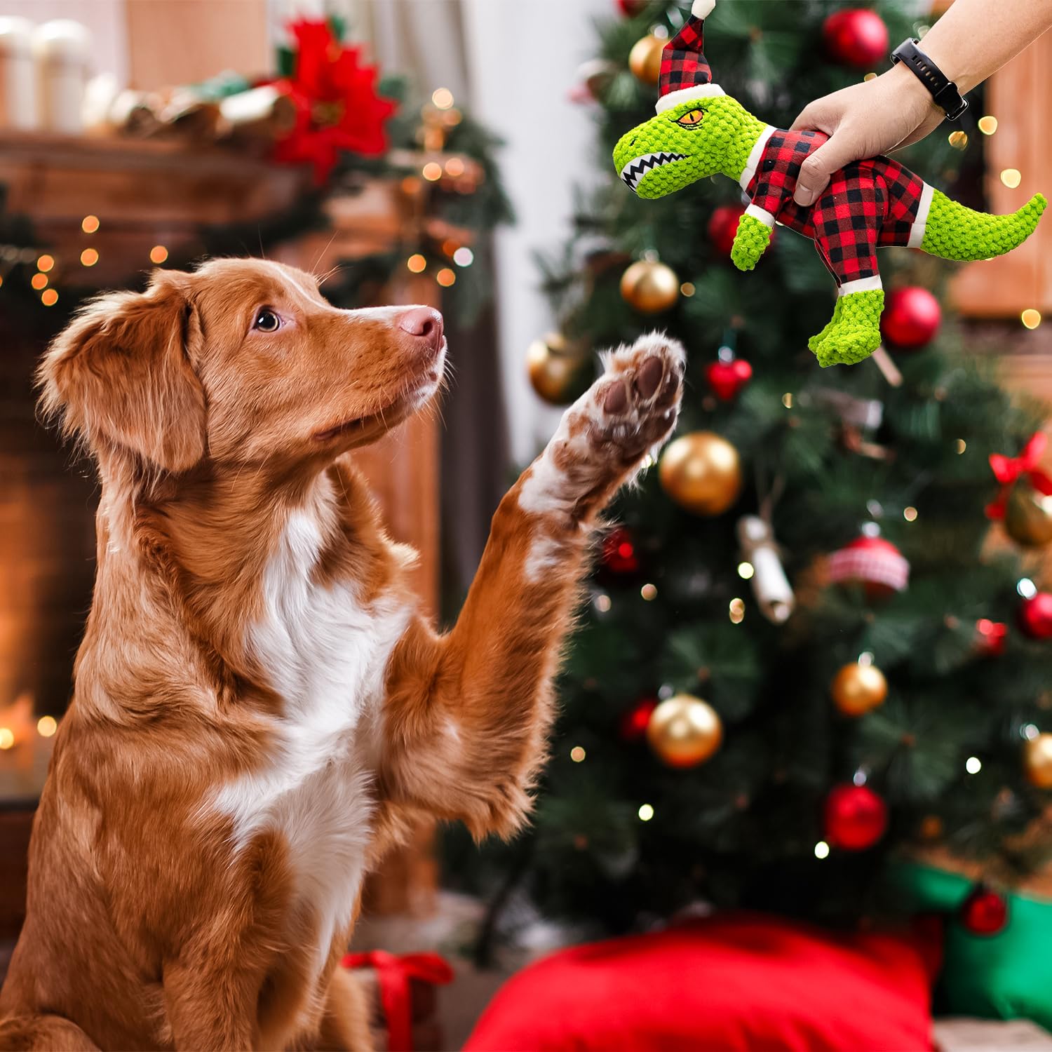 Chongqile holiday dog toy encourages curious play and reduces boredom at home.