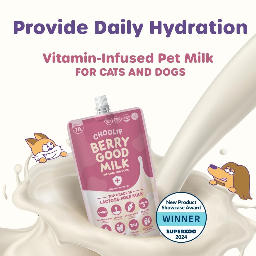 Choolip Berry Good Milk 10-pack packaging ideal for ready-to-serve daily hydration.