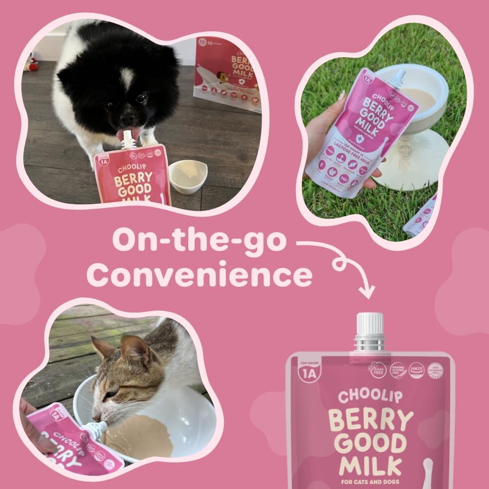 Choolip Berry Good Milk 200ml pouch ready to serve for travel and daily treats.