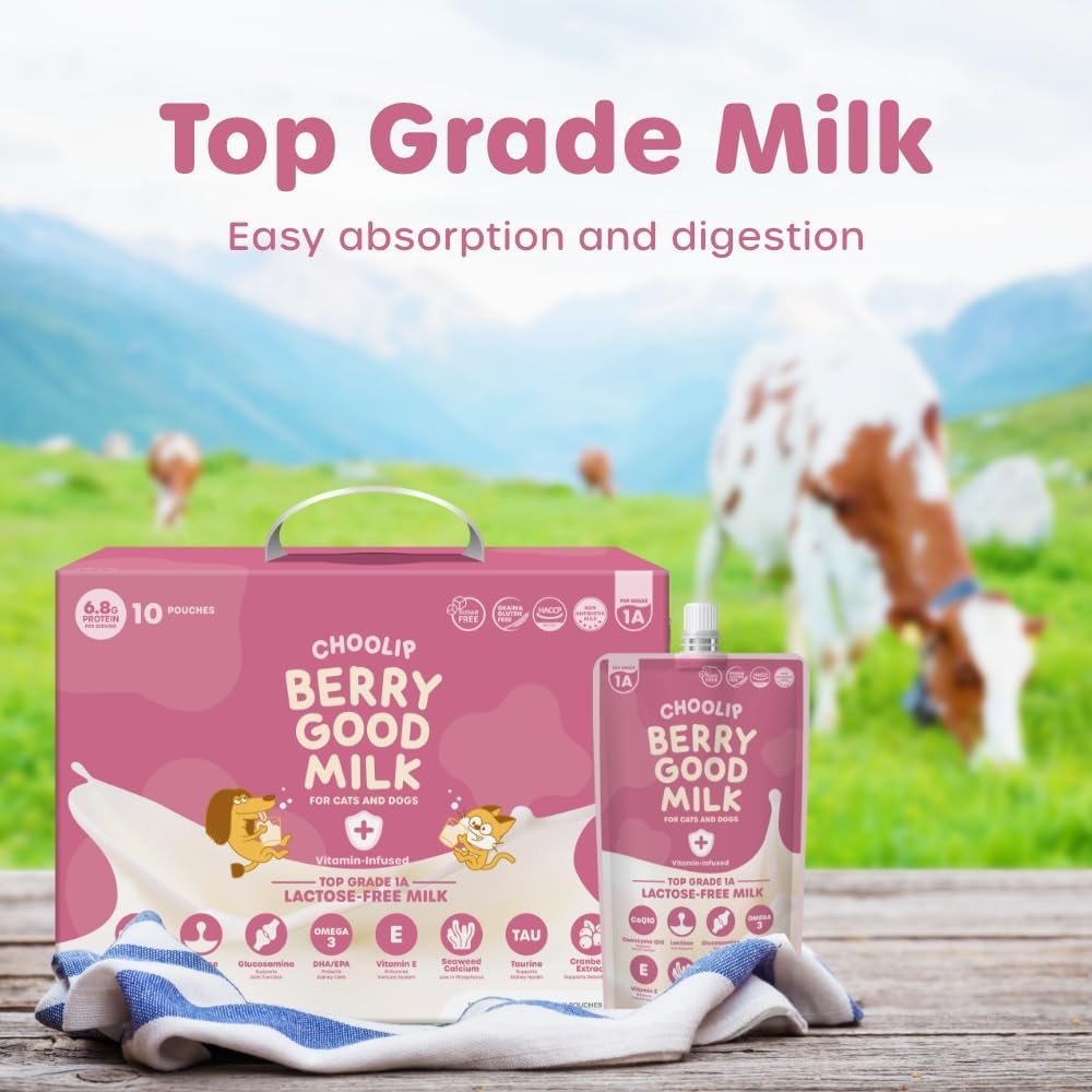 Choolip Berry Good Milk contents include cranberry and CoQ10 for urinary and joint support.
