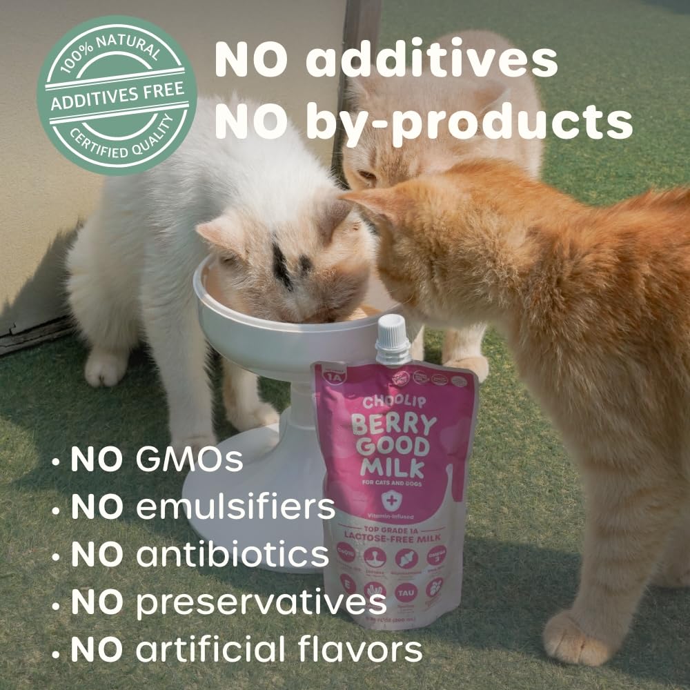Choolip Berry Good Milk is grain-free and lactose-free for sensitive pets.