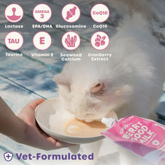 Choolip cat drinking Berry Good Milk scene for gentle hydration.