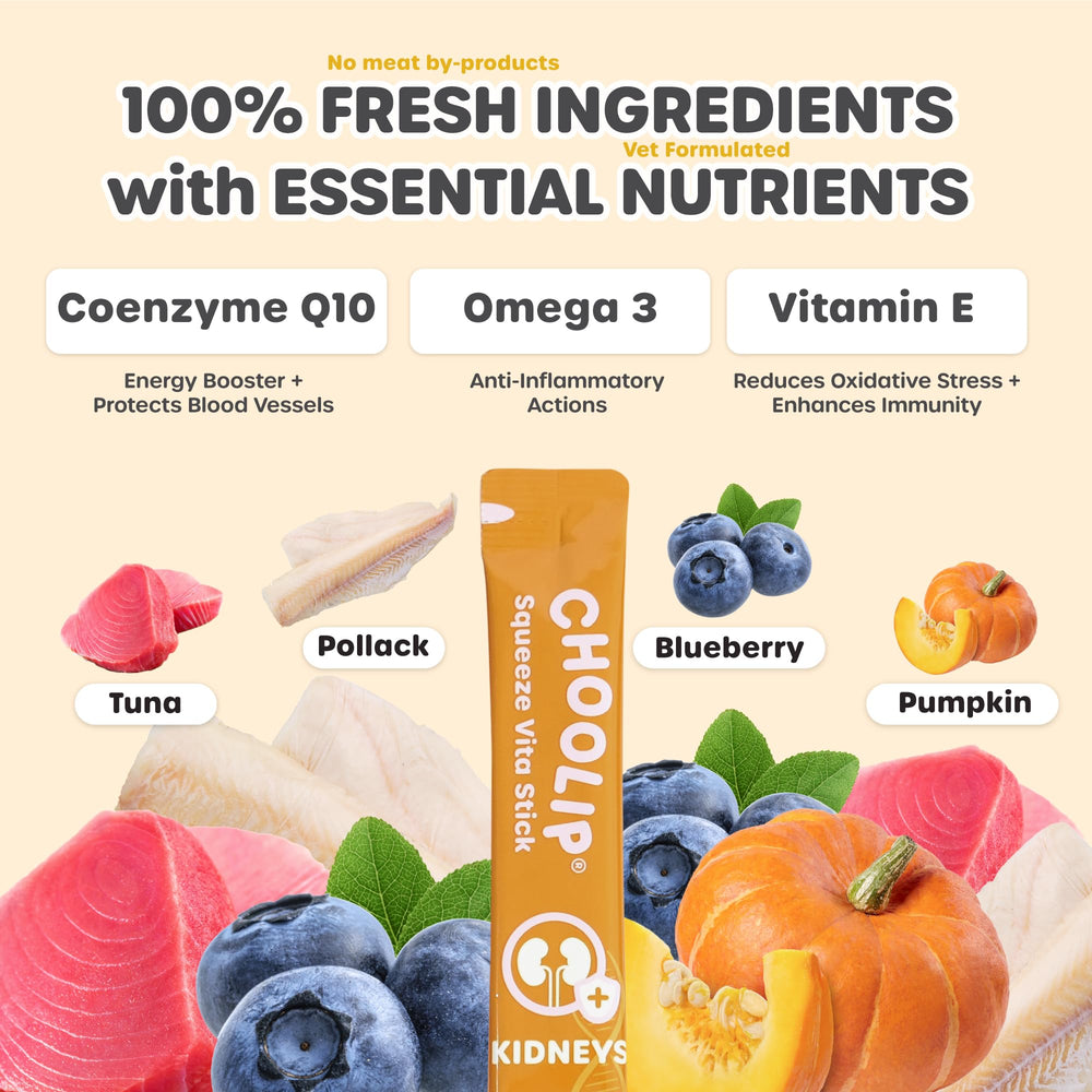 Choolip Squeeze Vita Stick freeze-ready snack for refreshing treat options.