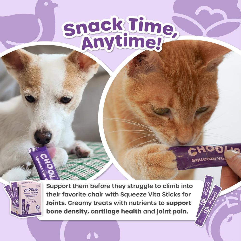 Choolip Squeeze Vita Stick multi-pack lineup shows variety of flavors for pets.