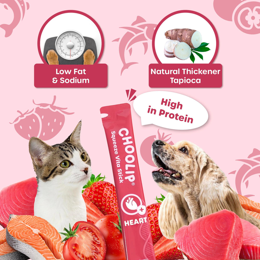 Choolip Squeeze Vita Stick easy snack for multi-pet homes.