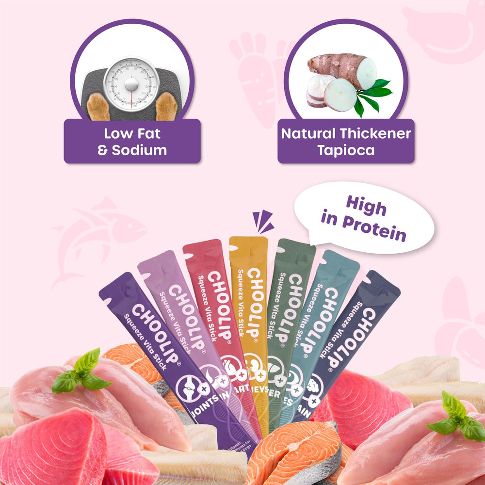 Choolip Squeeze Vita Stick training session with rewards