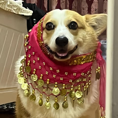 CHOWONE pet costume adds performance decoration for events and parties.