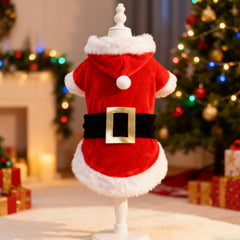Choyaxo black belt with gold buckle adds festive charm