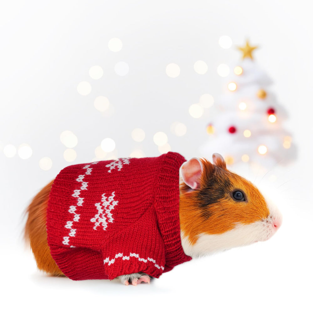 Choyaxo Christmas small animal sweater friendly-fit design for daily or festive wear.