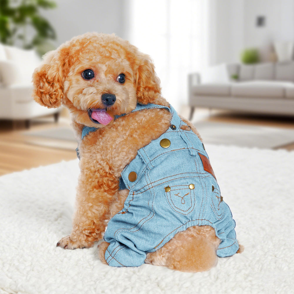 CHOYAXO Pet wearing denim overalls during playtime for fun photos