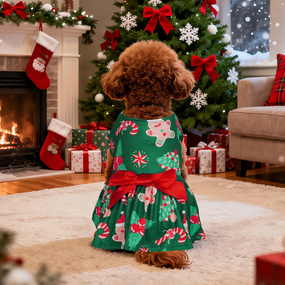 Choyaxo dog Christmas outfit closeup fabric texture and comfort.