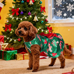Choyaxo dog Christmas outfit dress detail closeup, highlighting trim.