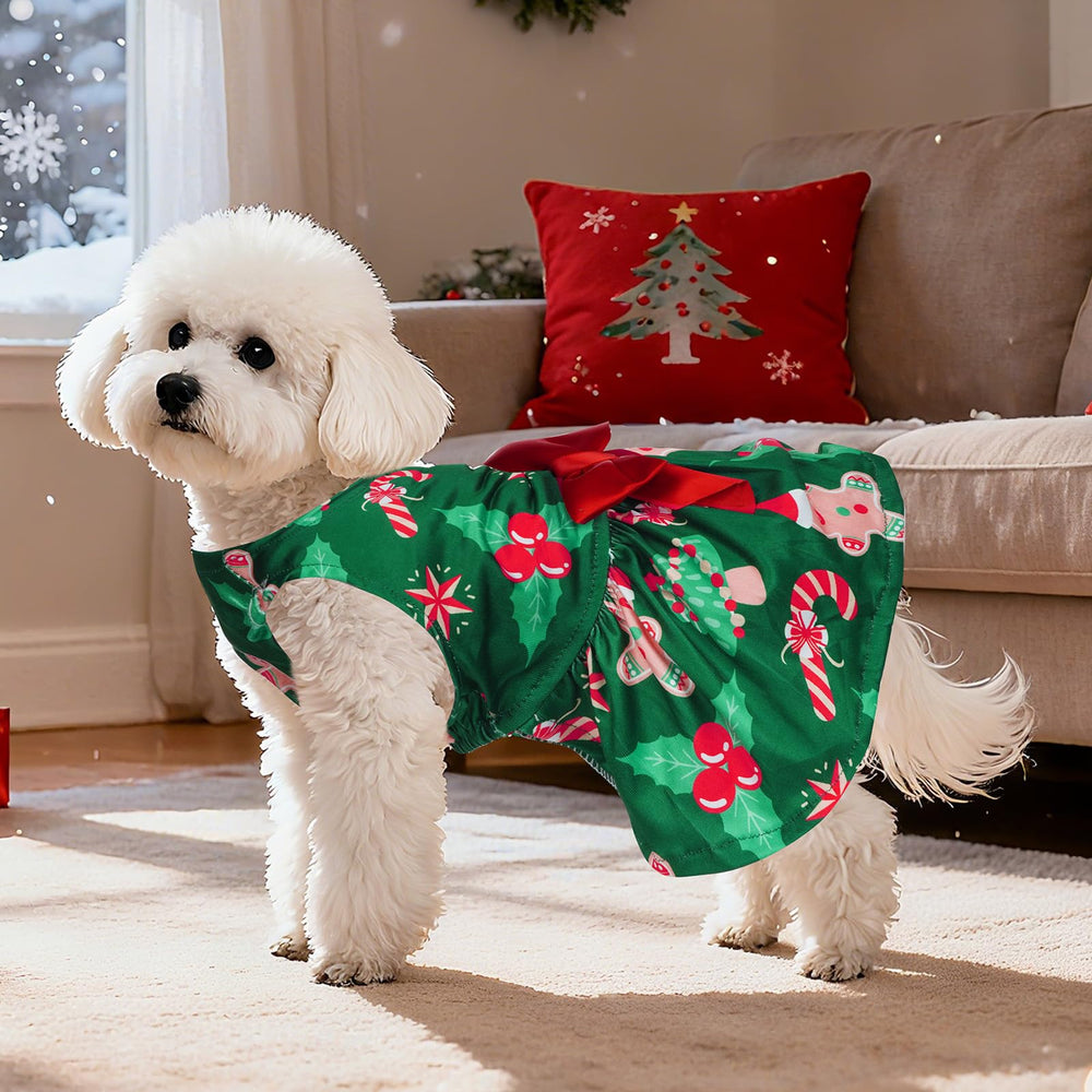 Choyaxo dog Christmas outfit model wearing, ideal for holiday card photos.