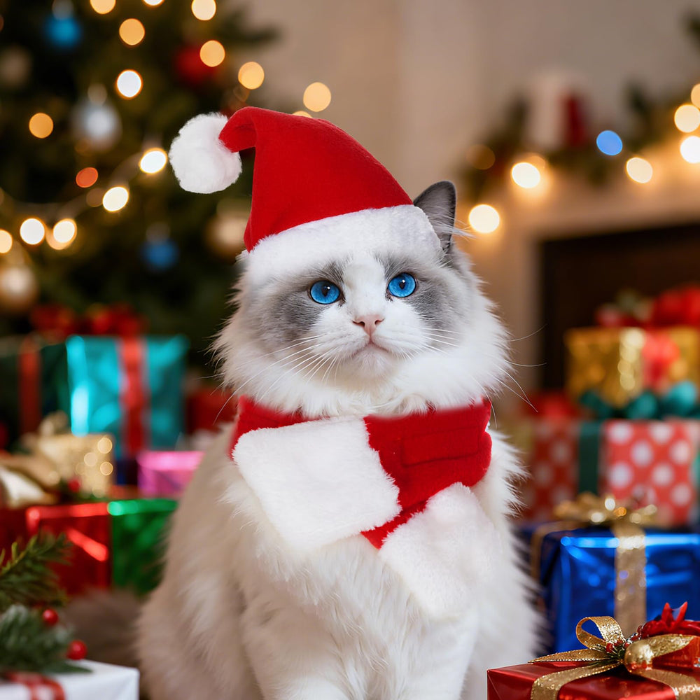 Choyaxo holiday photoshoot outfit for pets creates memorable moments.