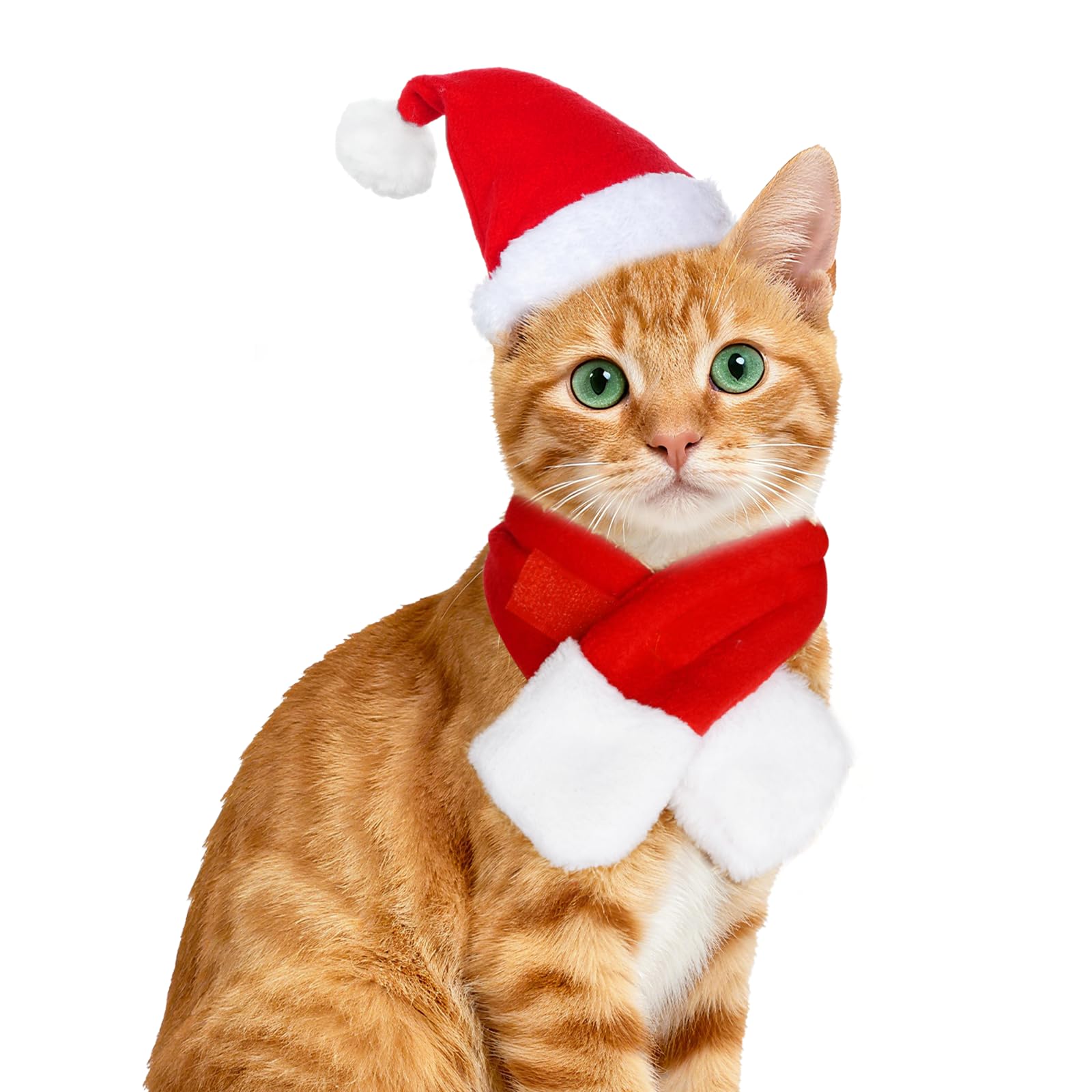 Choyaxo pet Christmas hat with pom-pom crown for festive photos.