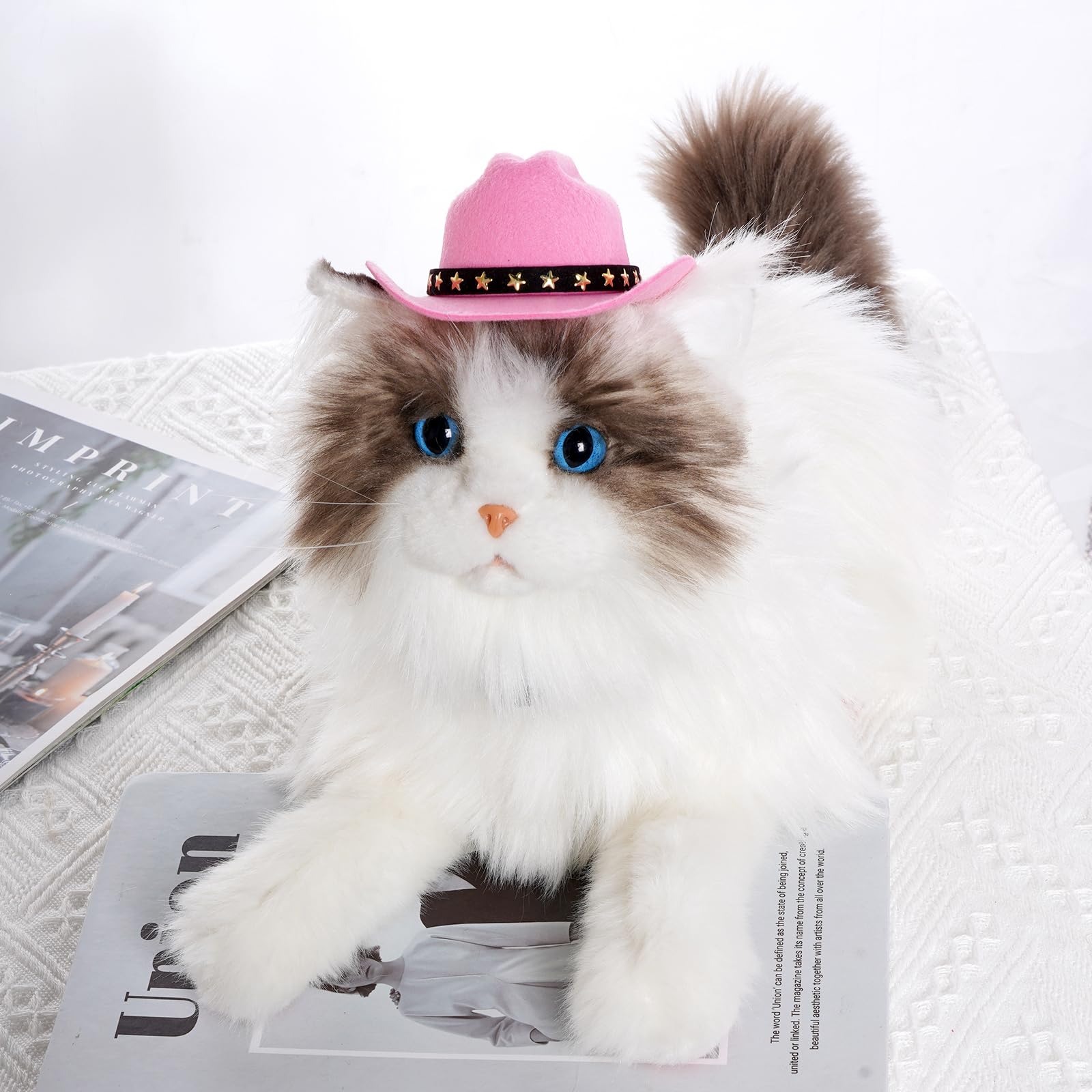 Choyaxo pink hat on a cat offering cosplay and daily wear.