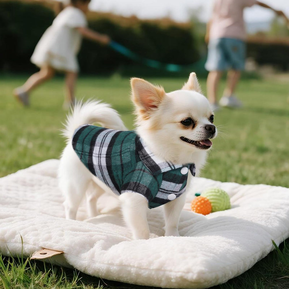 Choyaxo pet clothes set fits small dogs and cats for daily wear