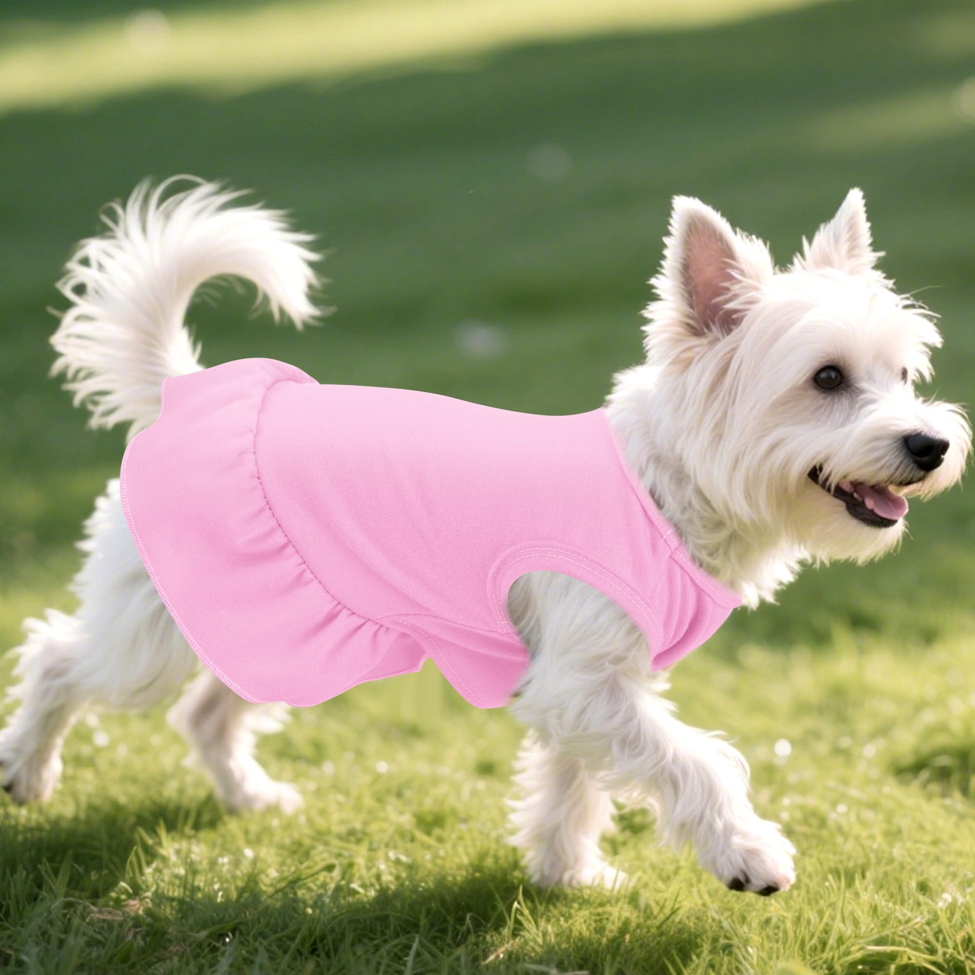 Choyaxo two-pcs dog dresses easy-to-wear sleeveless design for comfy outdoor activities.