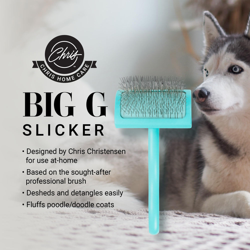 Chris Christensen Big G Dog Slicker teal brush angled pins for gentle detangling.