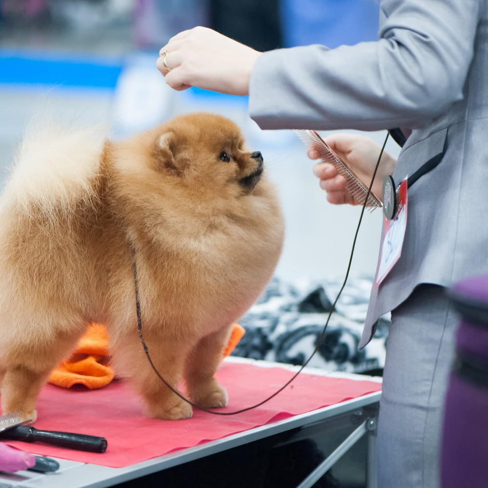 Flat spine and rounded teeth reduce friction for coats during routine grooming