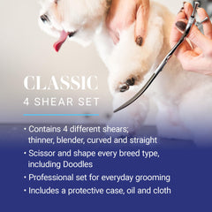 Chris Christensen Classic thinner shear for smooth blends