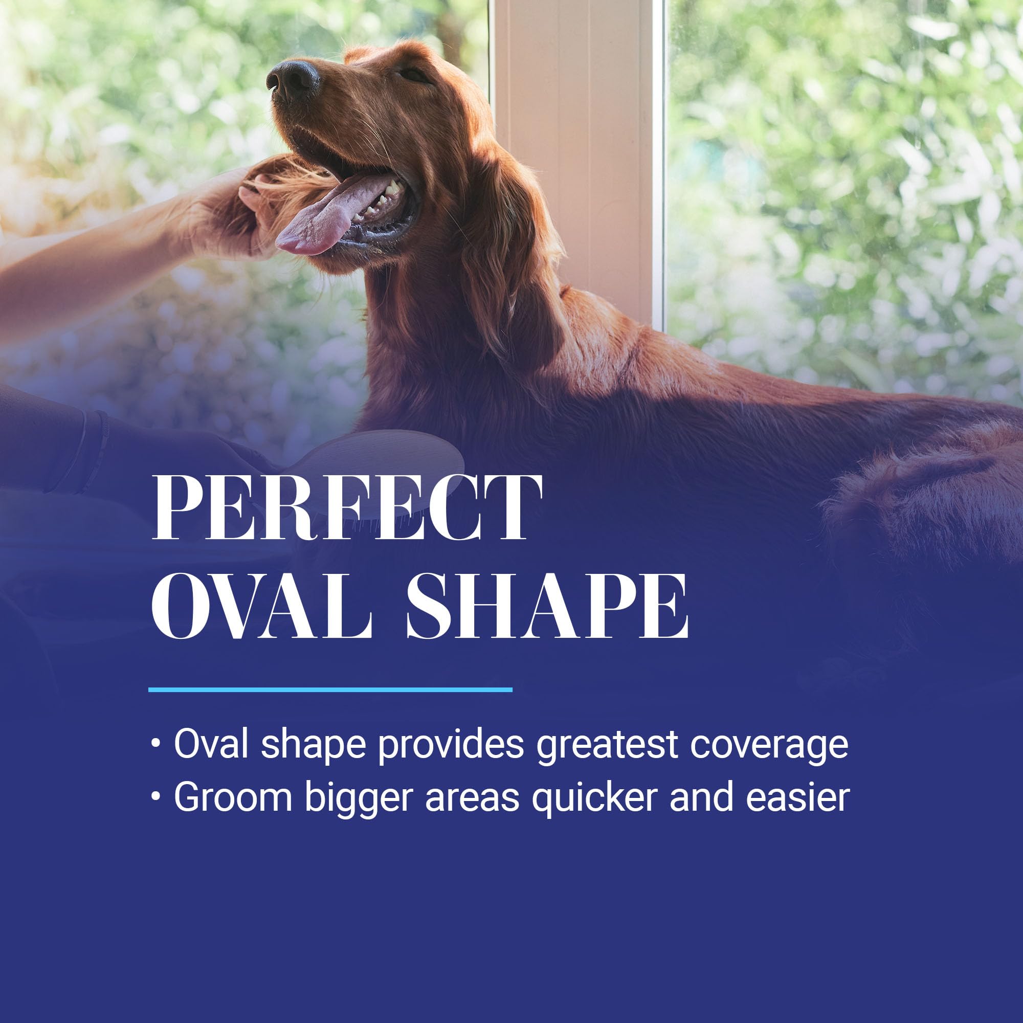 Chris Christensen dog brush 27mm oval mini travel version ready for pocket-sized grooming.