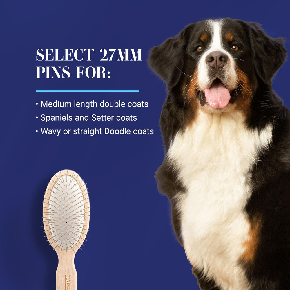 Chris Christensen dog brush 27mm oval pins detail emphasizes durability and even wear.