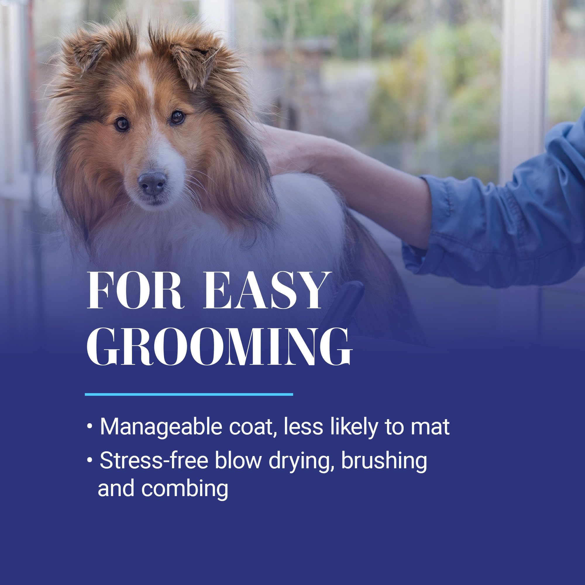 Chris Christensen Ice on Ice Detangling Conditioner dog coat soft silky finish