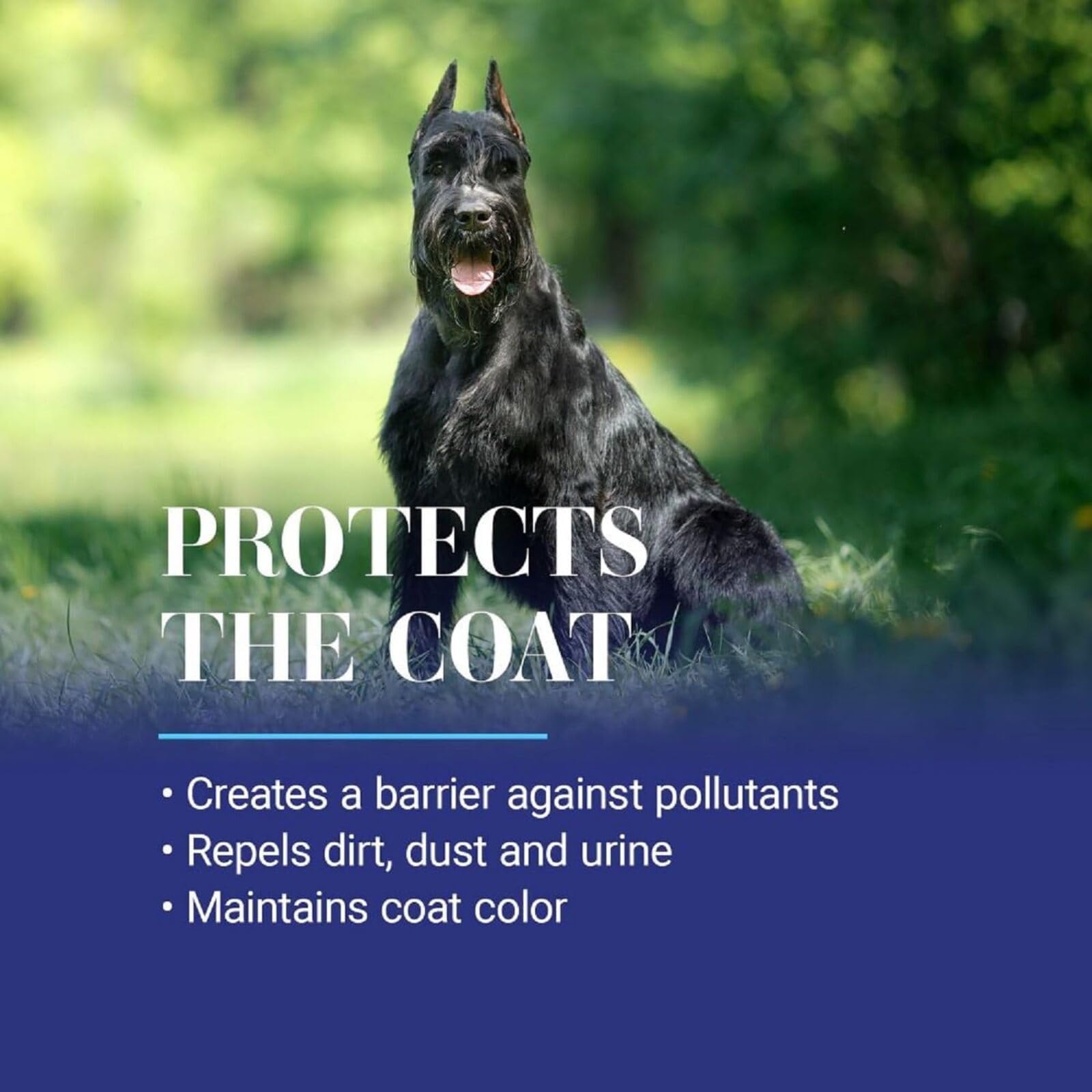 Chris Christensen Ice on Ice protective barrier demonstrates dirt-repelling action for clean coats