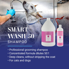 SmartWash50 concentrate bottle highlights 50:1 dilution for economical professional use