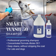 SmartWash50 50:1 dilution demonstrated for economical salon cleaning