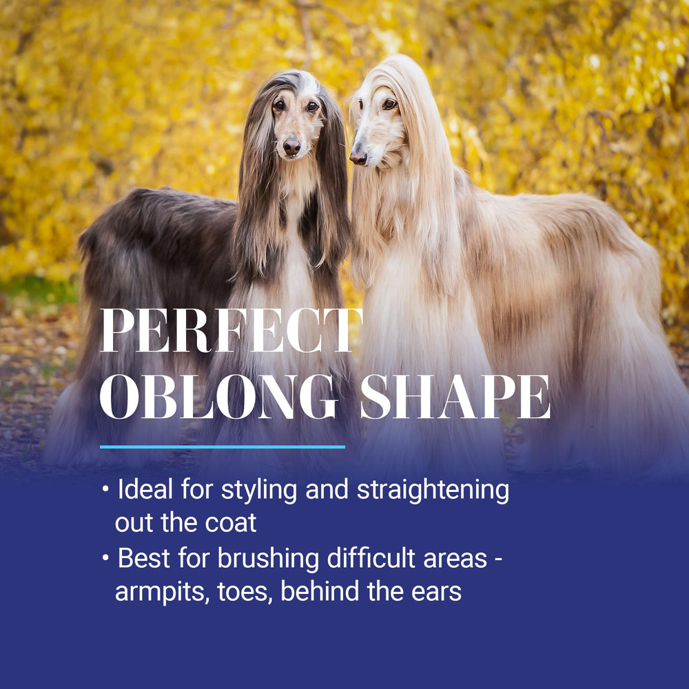 Chris Christensen brush shown in show-ring setting conveys professional grooming quality.