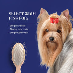 Chris Christensen mini oval brush for face and feet grooming on the go.